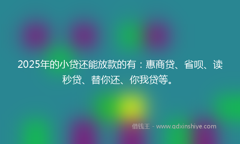 2025年的小贷还能放款的有：惠商贷、省呗、读秒贷、替你还、你我贷等。
