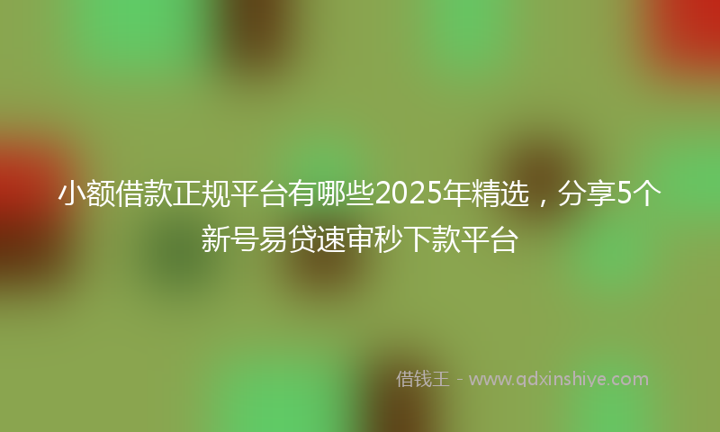 小额借款正规平台有哪些2025年精选，分享5个新号易贷速审秒下款平台