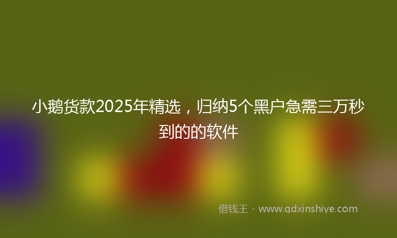 小鹅货款2025年精选，归纳5个黑户急需三万秒到的的软件