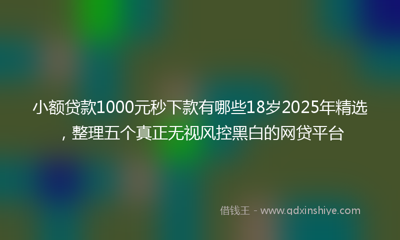 小额贷款1000元秒下款有哪些18岁2025年精选，整理五个真正无视风控黑白的网贷平台