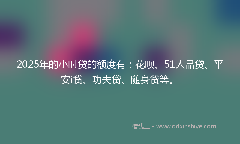 2025年的小时贷的额度有：花呗、51人品贷、平安i贷、功夫贷、随身贷等。