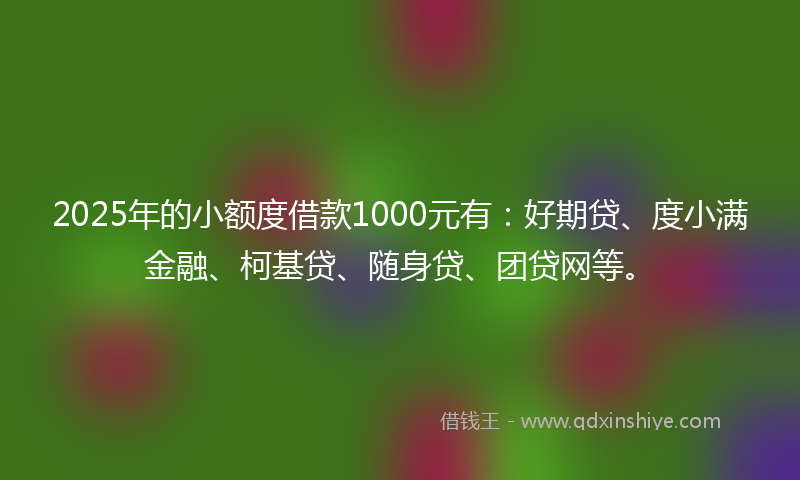 2025年的小额度借款1000元有：好期贷、度小满金融、柯基贷、随身贷、团贷网等。
