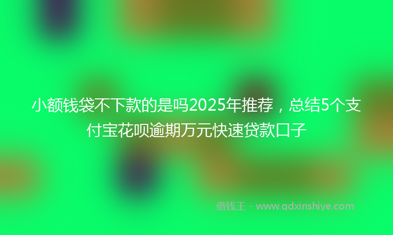 小额钱袋不下款的是吗2025年推荐，总结5个支付宝花呗逾期万元快速贷款口子