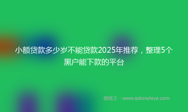 小额贷款多少岁不能贷款2025年推荐，整理5个黑户能下款的平台