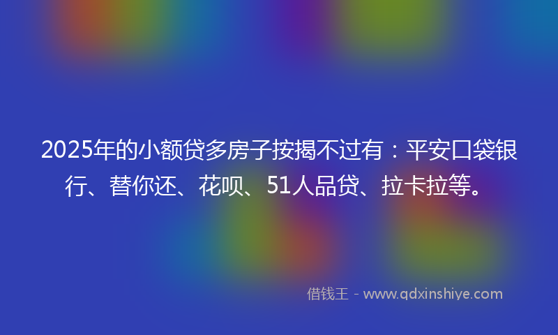 2025年的小额贷多房子按揭不过有：平安口袋银行、替你还、花呗、51人品贷、拉卡拉等。