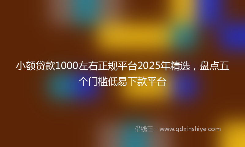 小额贷款1000左右正规平台2025年精选，盘点五个门槛低易下款平台