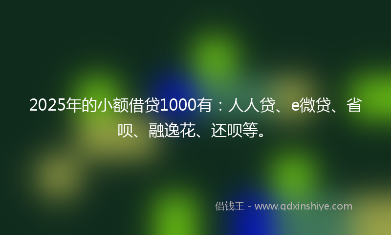 2025年的小额借贷1000有：人人贷、e微贷、省呗、融逸花、还呗等。