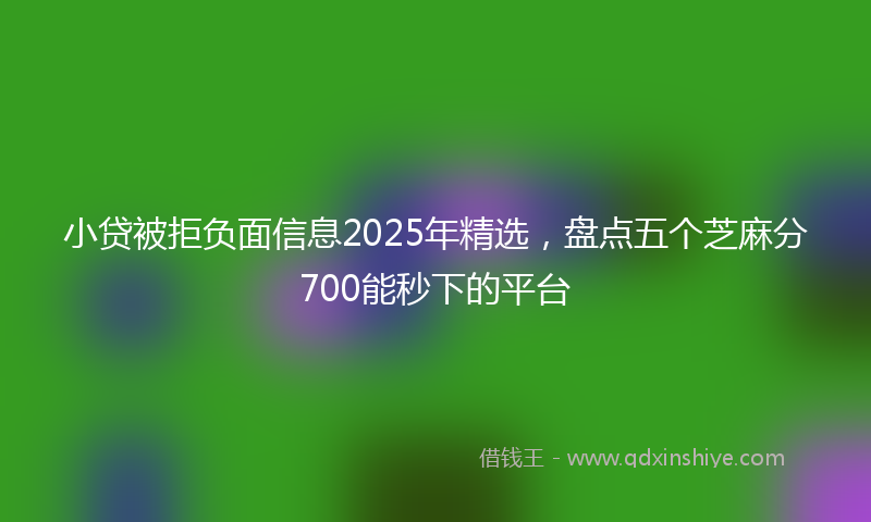 小贷被拒负面信息2025年精选，盘点五个芝麻分700能秒下的平台