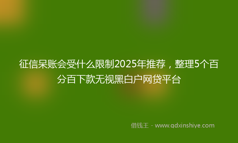 征信呆账会受什么限制2025年推荐，整理5个百分百下款无视黑白户网贷平台