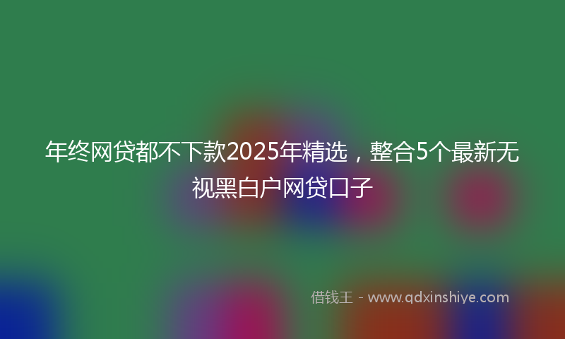 年终网贷都不下款2025年精选，整合5个最新无视黑白户网贷口子