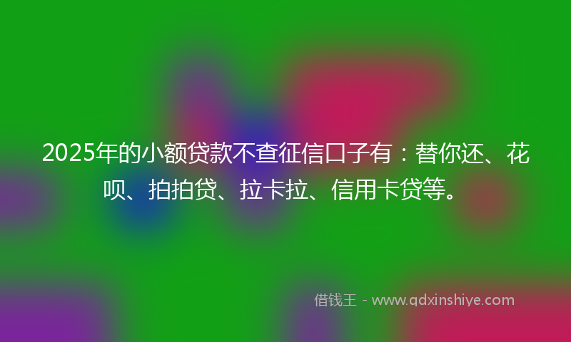 2025年的小额贷款不查征信口子有：替你还、花呗、拍拍贷、拉卡拉、信用卡贷等。