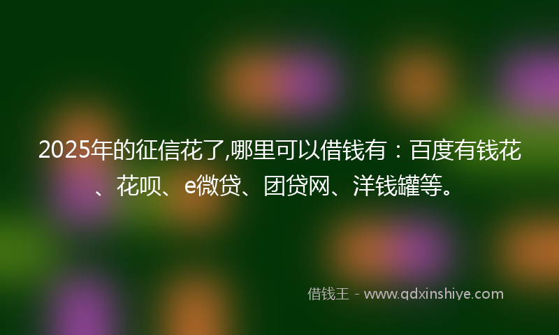 2025年的征信花了,哪里可以借钱有：百度有钱花、花呗、e微贷、团贷网、洋钱罐等。