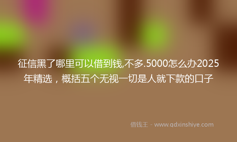 征信黑了哪里可以借到钱,不多.5000怎么办2025年精选，概括五个无视一切是人就下款的口子