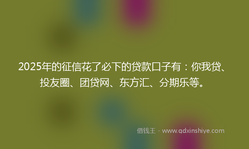 2025年的征信花了必下的贷款口子有：你我贷、投友圈、团贷网、东方汇、分期乐等。