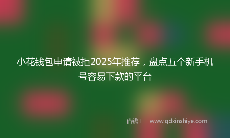 小花钱包申请被拒2025年推荐，盘点五个新手机号容易下款的平台