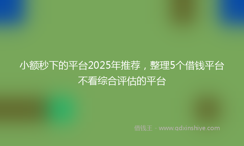 小额秒下的平台2025年推荐，整理5个借钱平台不看综合评估的平台