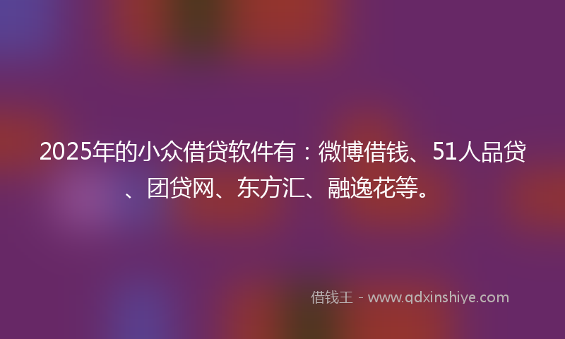 2025年的小众借贷软件有：微博借钱、51人品贷、团贷网、东方汇、融逸花等。