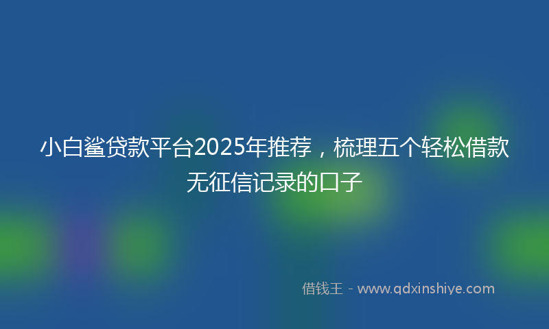 小白鲨贷款平台2025年推荐，梳理五个轻松借款无征信记录的口子