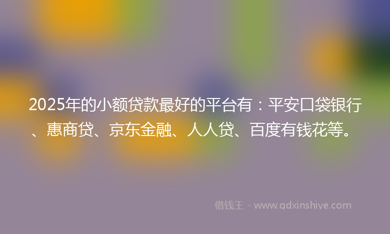 2025年的小额贷款最好的平台有：平安口袋银行、惠商贷、京东金融、人人贷、百度有钱花等。