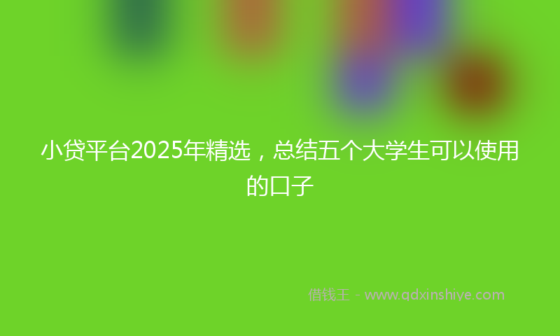 小贷平台2025年精选，总结五个大学生可以使用的口子