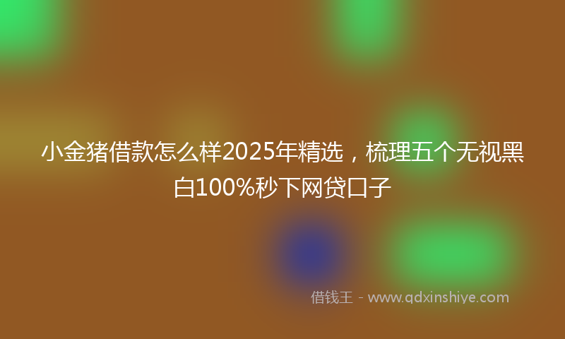 小金猪借款怎么样2025年精选，梳理五个无视黑白100%秒下网贷口子
