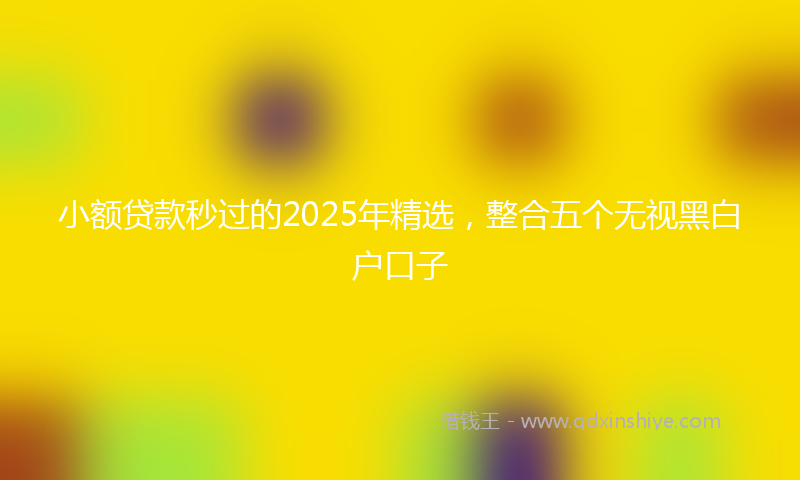 小额贷款秒过的2025年精选，整合五个无视黑白户口子
