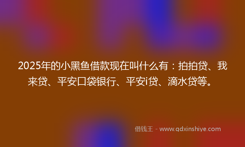 2025年的小黑鱼借款现在叫什么有：拍拍贷、我来贷、平安口袋银行、平安i贷、滴水贷等。