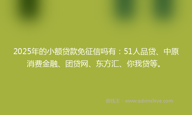 2025年的小额贷款免征信吗有：51人品贷、中原消费金融、团贷网、东方汇、你我贷等。