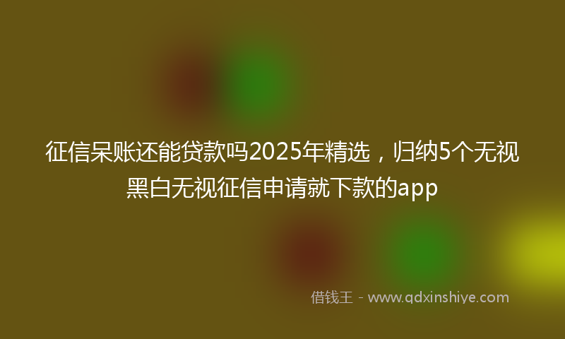 征信呆账还能贷款吗2025年精选，归纳5个无视黑白无视征信申请就下款的app
