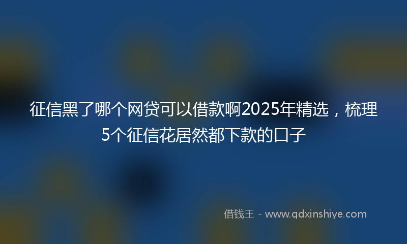 征信黑了哪个网贷可以借款啊2025年精选，梳理5个征信花居然都下款的口子