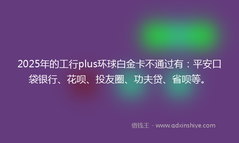 2025年的工行plus环球白金卡不通过有：平安口袋银行、花呗、投友圈、功夫贷、省呗等。
