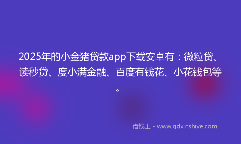 2025年的小金猪贷款app下载安卓有：微粒贷、读秒贷、度小满金融、百度有钱花、小花钱包等。