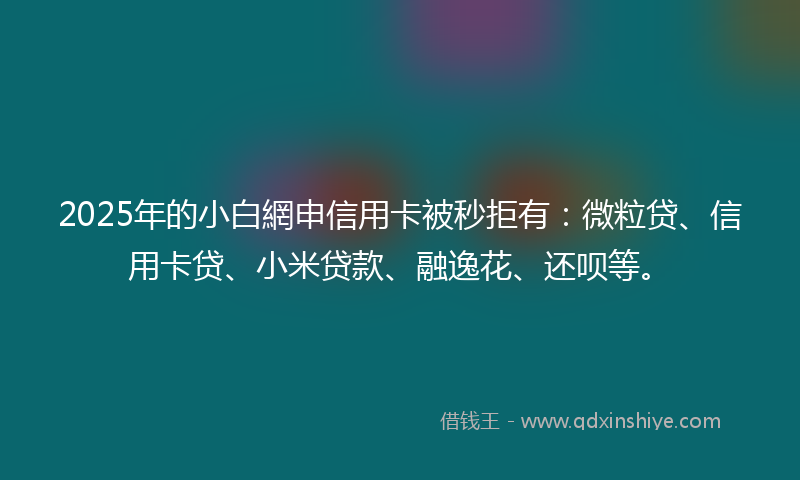 2025年的小白網申信用卡被秒拒有：微粒贷、信用卡贷、小米贷款、融逸花、还呗等。