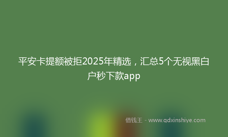 平安卡提额被拒2025年精选，汇总5个无视黑白户秒下款app