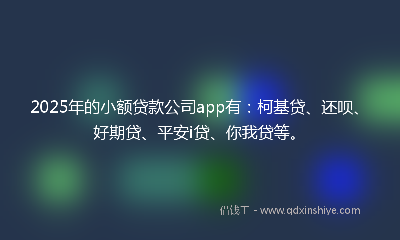 2025年的小额贷款公司app有：柯基贷、还呗、好期贷、平安i贷、你我贷等。