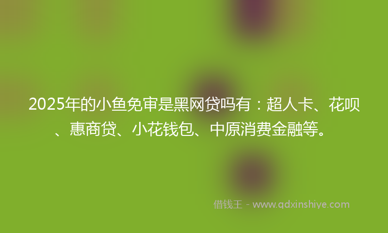 2025年的小鱼免审是黑网贷吗有：超人卡、花呗、惠商贷、小花钱包、中原消费金融等。