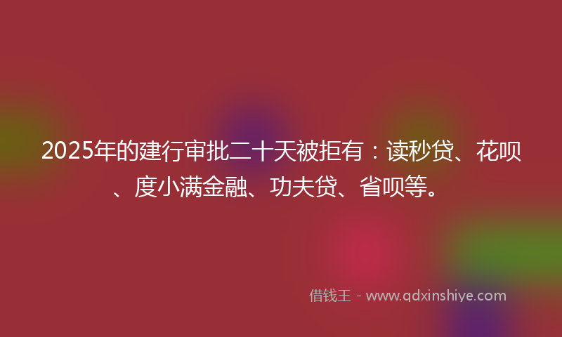 2025年的建行审批二十天被拒有：读秒贷、花呗、度小满金融、功夫贷、省呗等。