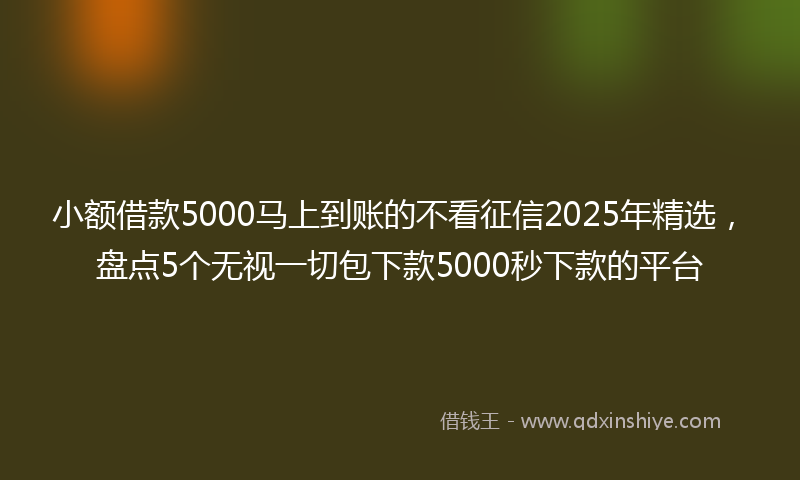 小额借款5000马上到账的不看征信2025年精选，盘点5个无视一切包下款5000秒下款的平台