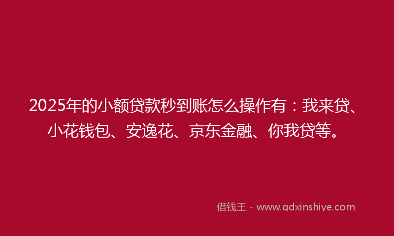2025年的小额贷款秒到账怎么操作有：我来贷、小花钱包、安逸花、京东金融、你我贷等。