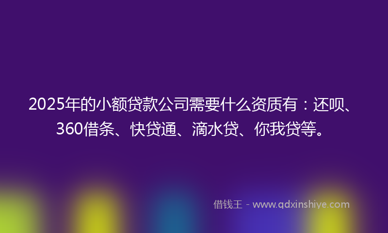 2025年的小额贷款公司需要什么资质有：还呗、360借条、快贷通、滴水贷、你我贷等。