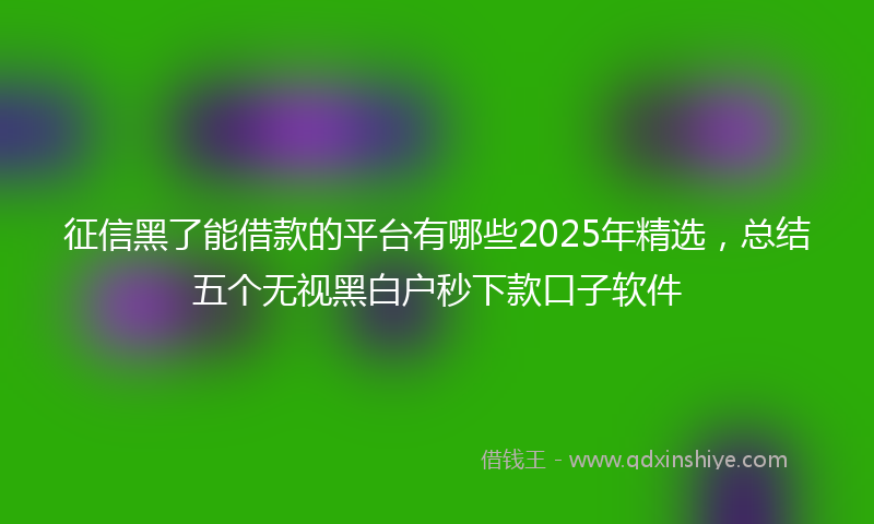 征信黑了能借款的平台有哪些2025年精选，总结五个无视黑白户秒下款口子软件