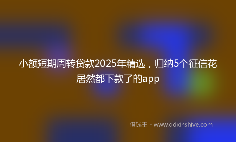 小额短期周转贷款2025年精选，归纳5个征信花居然都下款了的app