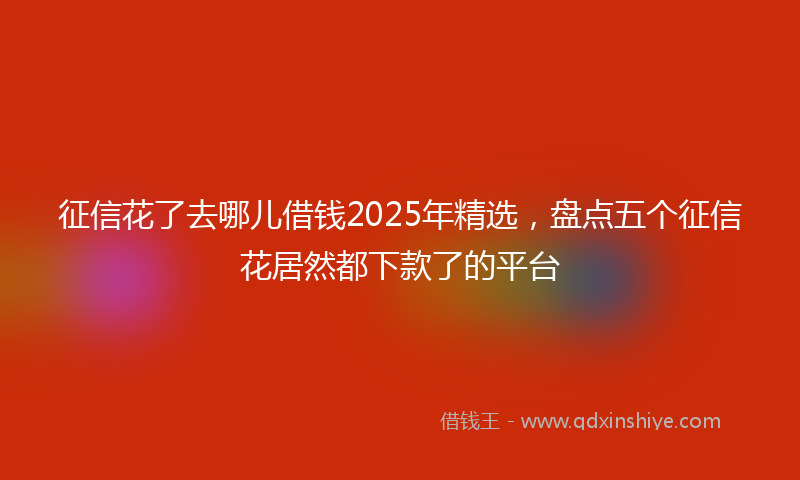 征信花了去哪儿借钱2025年精选，盘点五个征信花居然都下款了的平台