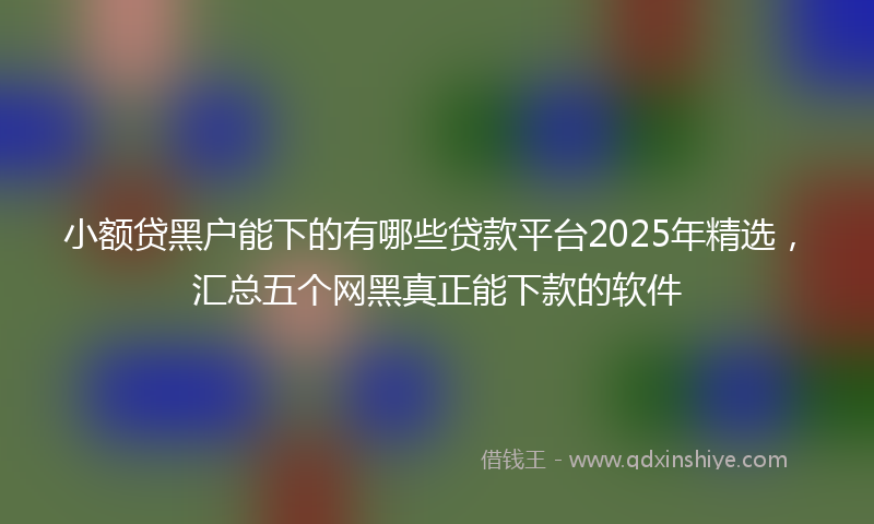 小额贷黑户能下的有哪些贷款平台2025年精选，汇总五个网黑真正能下款的软件