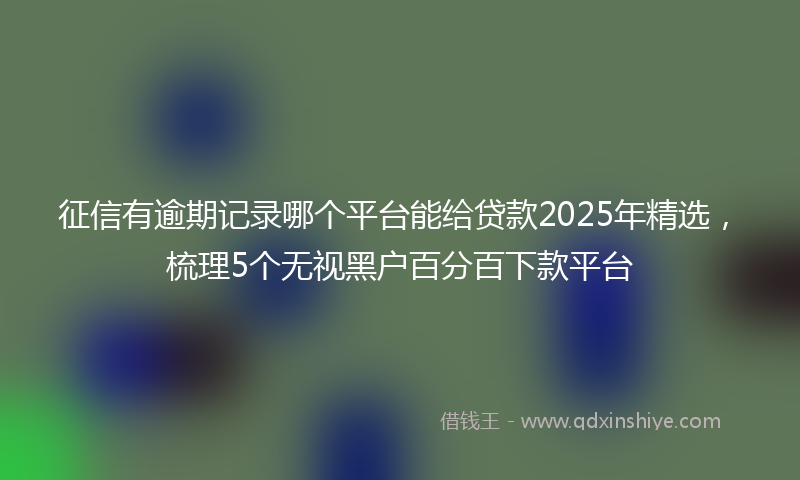征信有逾期记录哪个平台能给贷款2025年精选，梳理5个无视黑户百分百下款平台