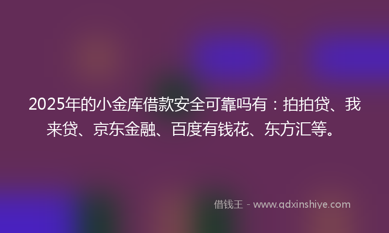 2025年的小金库借款安全可靠吗有：拍拍贷、我来贷、京东金融、百度有钱花、东方汇等。