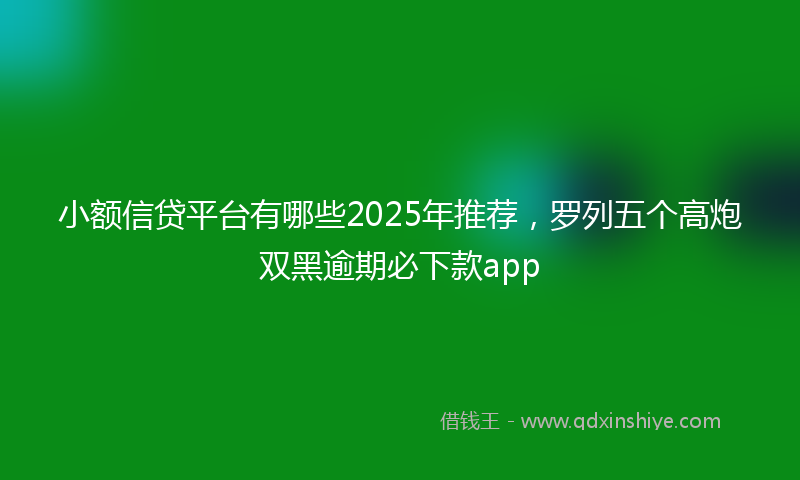 小额信贷平台有哪些2025年推荐，罗列五个高炮双黑逾期必下款app