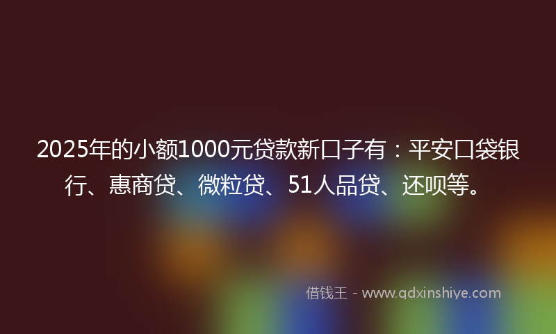 2025年的小额1000元贷款新口子有：平安口袋银行、惠商贷、微粒贷、51人品贷、还呗等。