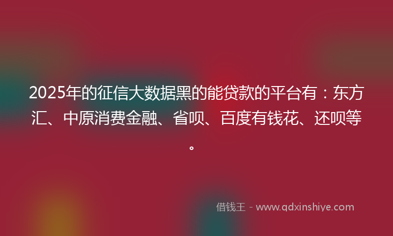 2025年的征信大数据黑的能贷款的平台有：东方汇、中原消费金融、省呗、百度有钱花、还呗等。