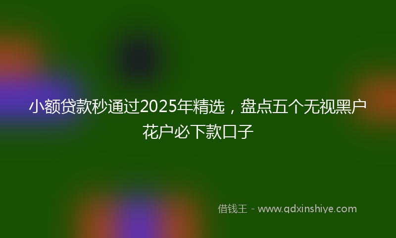 小额贷款秒通过2025年精选，盘点五个无视黑户花户必下款口子